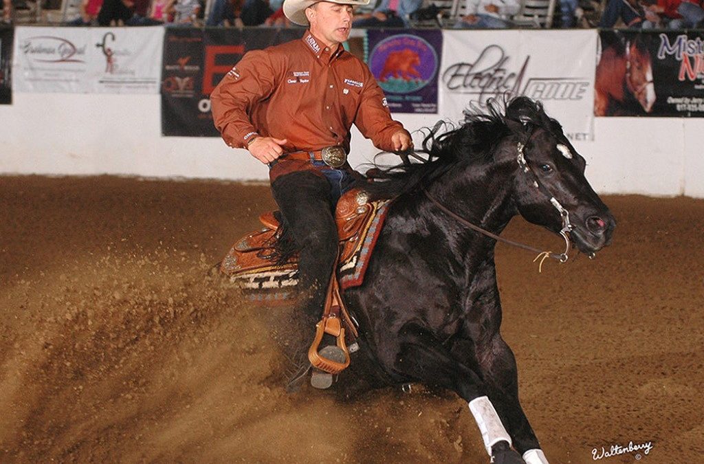 Todd Bergen