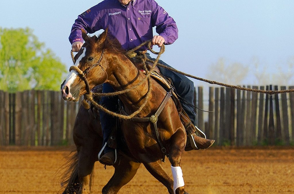 Todd Crawford