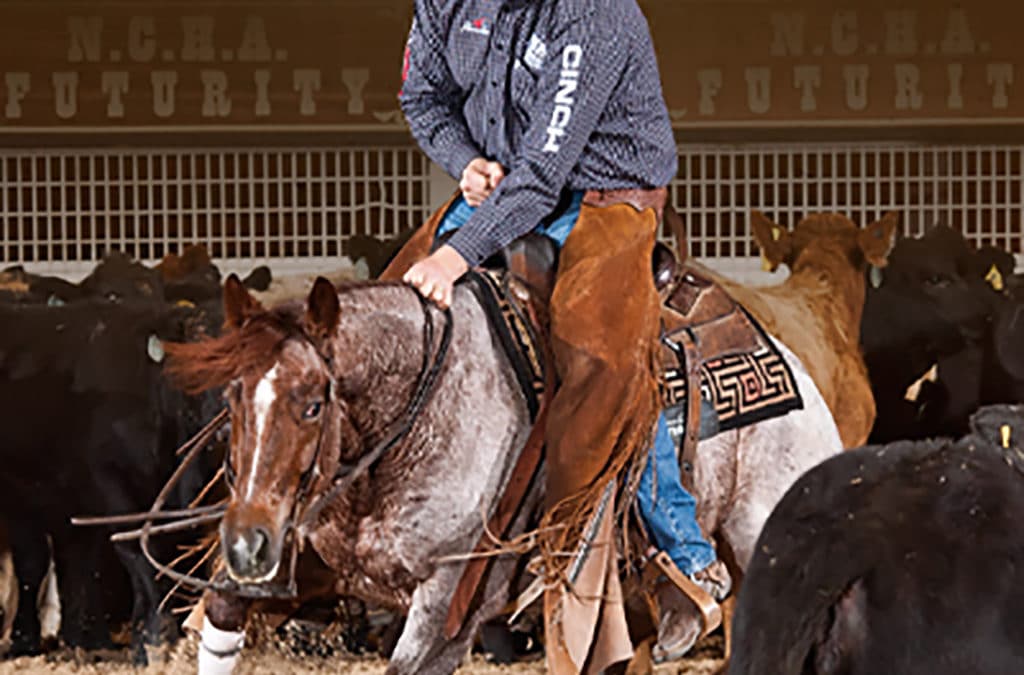 Austin Shepard